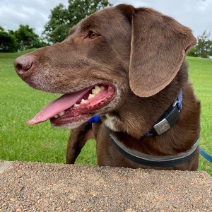 Meet your Posher, Michael